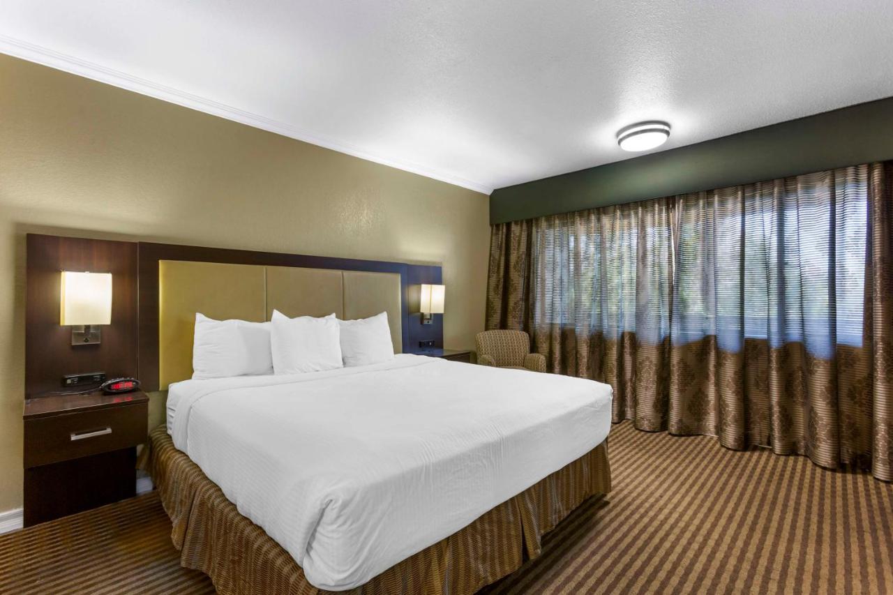 Best Western Royal Sun Inn & Suites Τούσον Εξωτερικό φωτογραφία